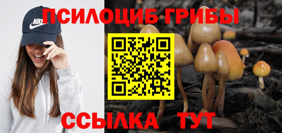 Галлюциногенные грибы MAGIC MUSHROOMS  Вход с VPN  Псилоцибиновые грибы Cubensis  Каменка 